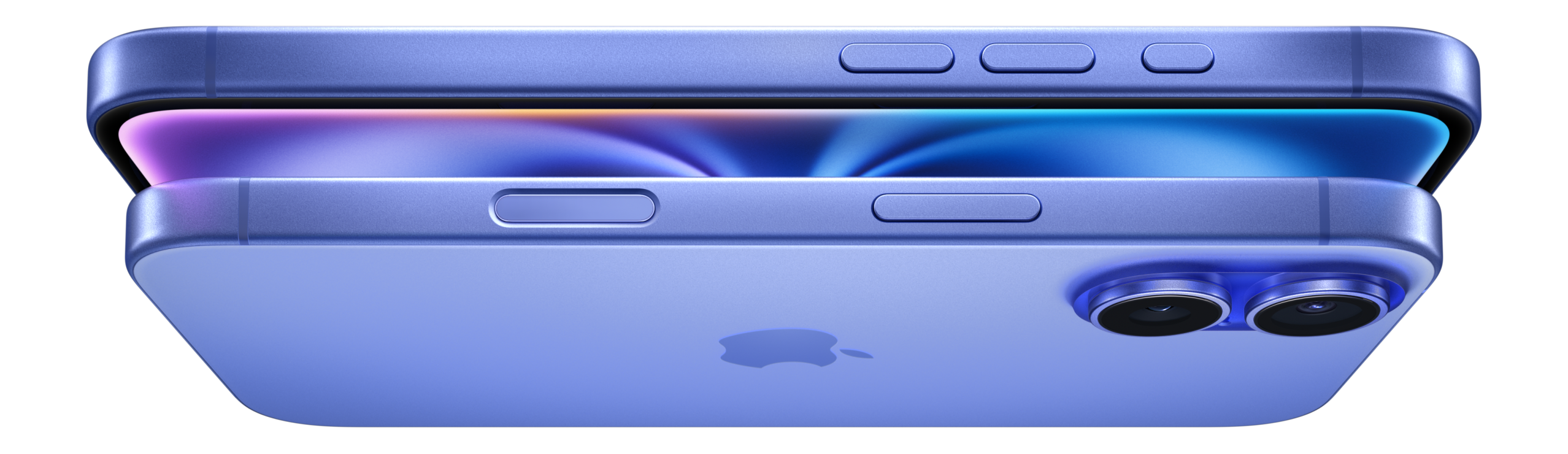 TrailPac app on phone